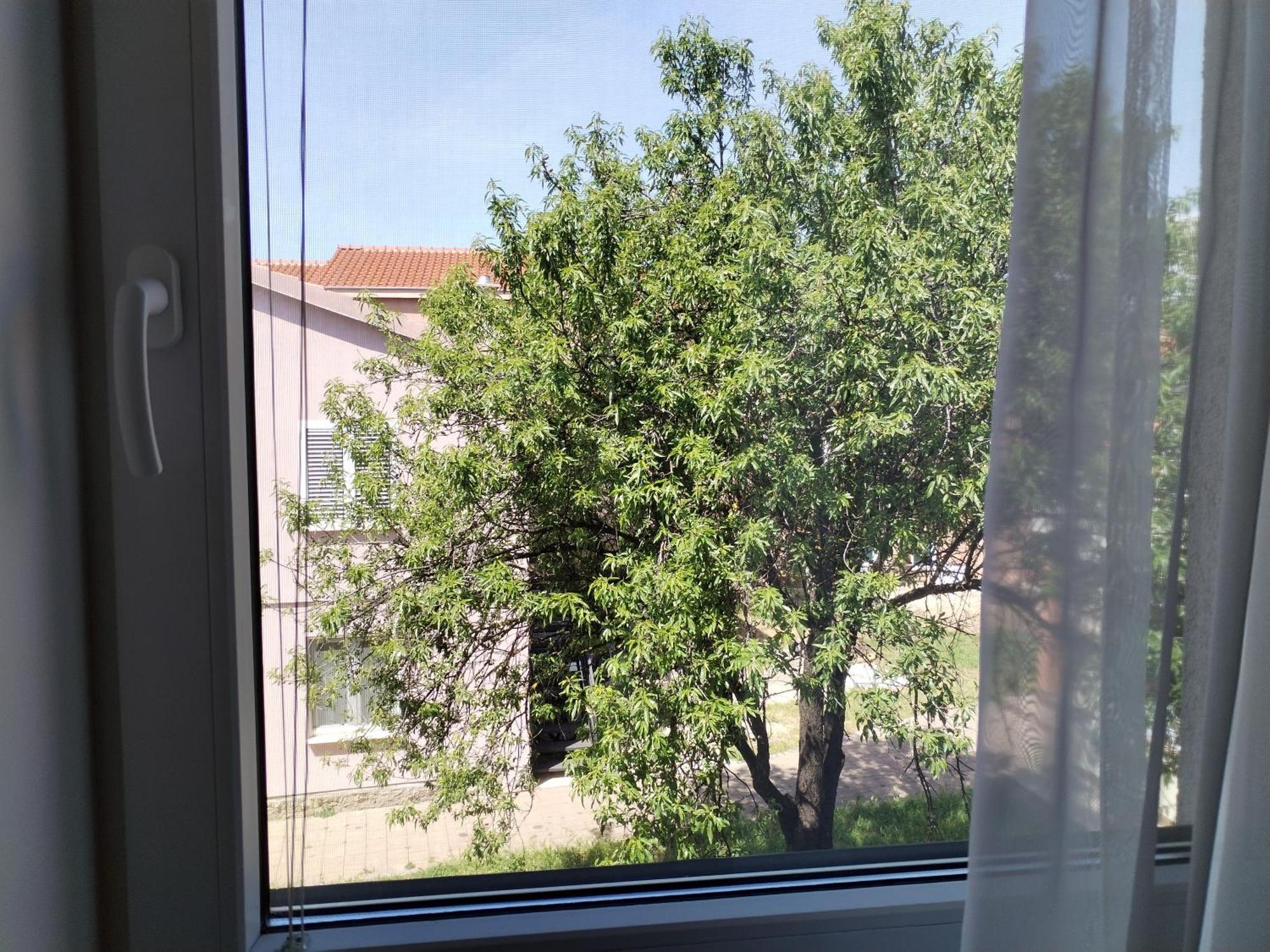 Family Apartment B&B Biograd na Moru Kültér fotó